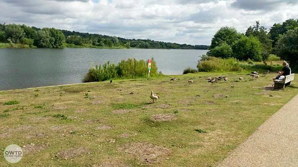 View of the lake at Whitlingham country Park